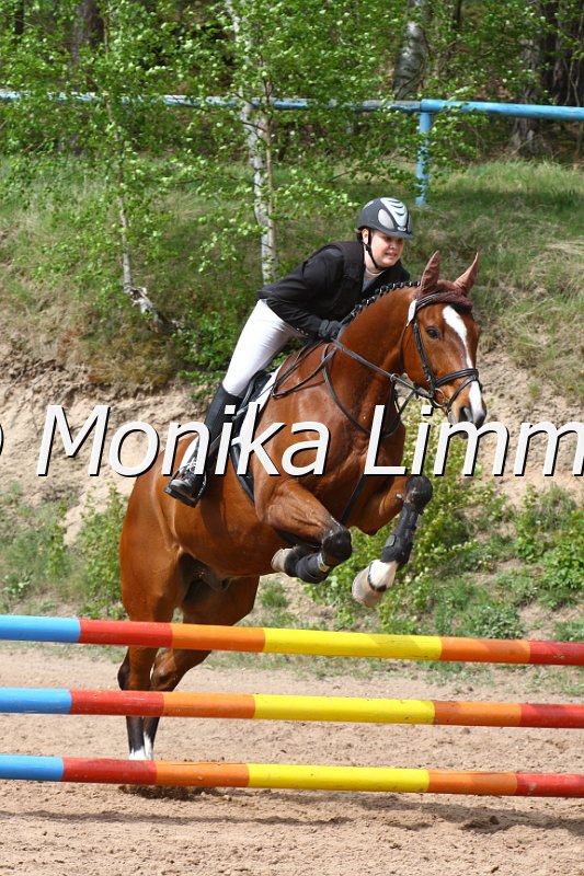 004M2305_Luca Lombardo_Stilspring WB.JPG